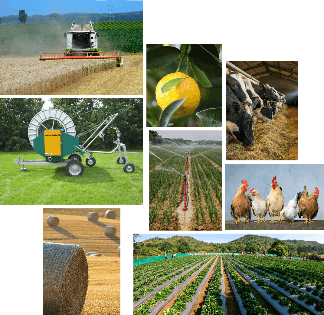 Irriwise Solutions