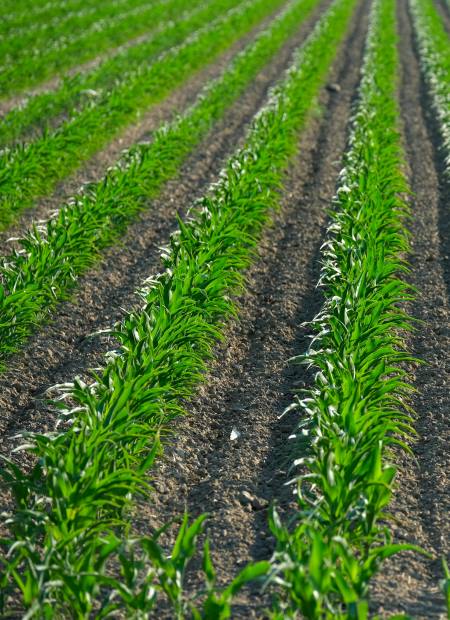 Irriwise Solutions