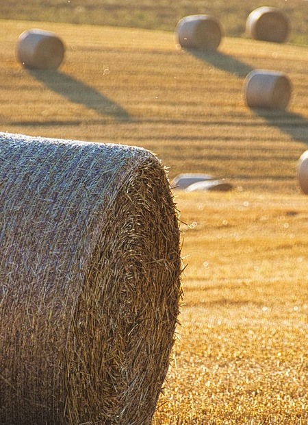 Irriwise Solutions