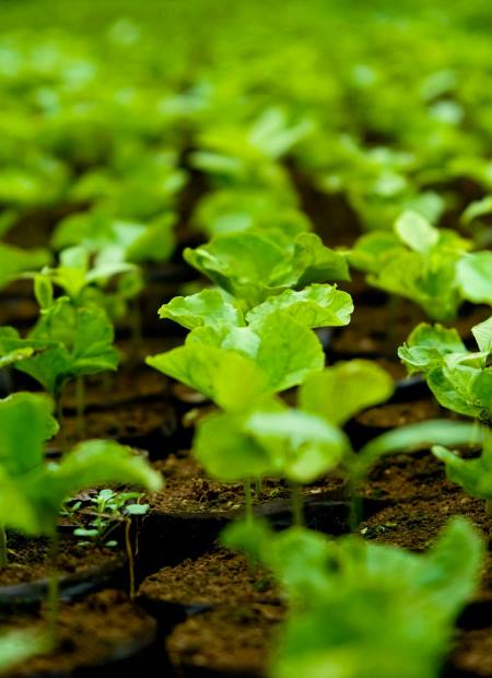 Irriwise Solutions