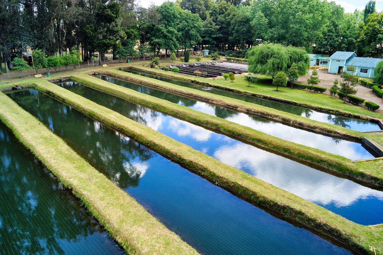 Irriwise Solutions