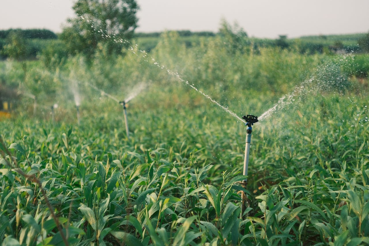 Irriwise Solutions