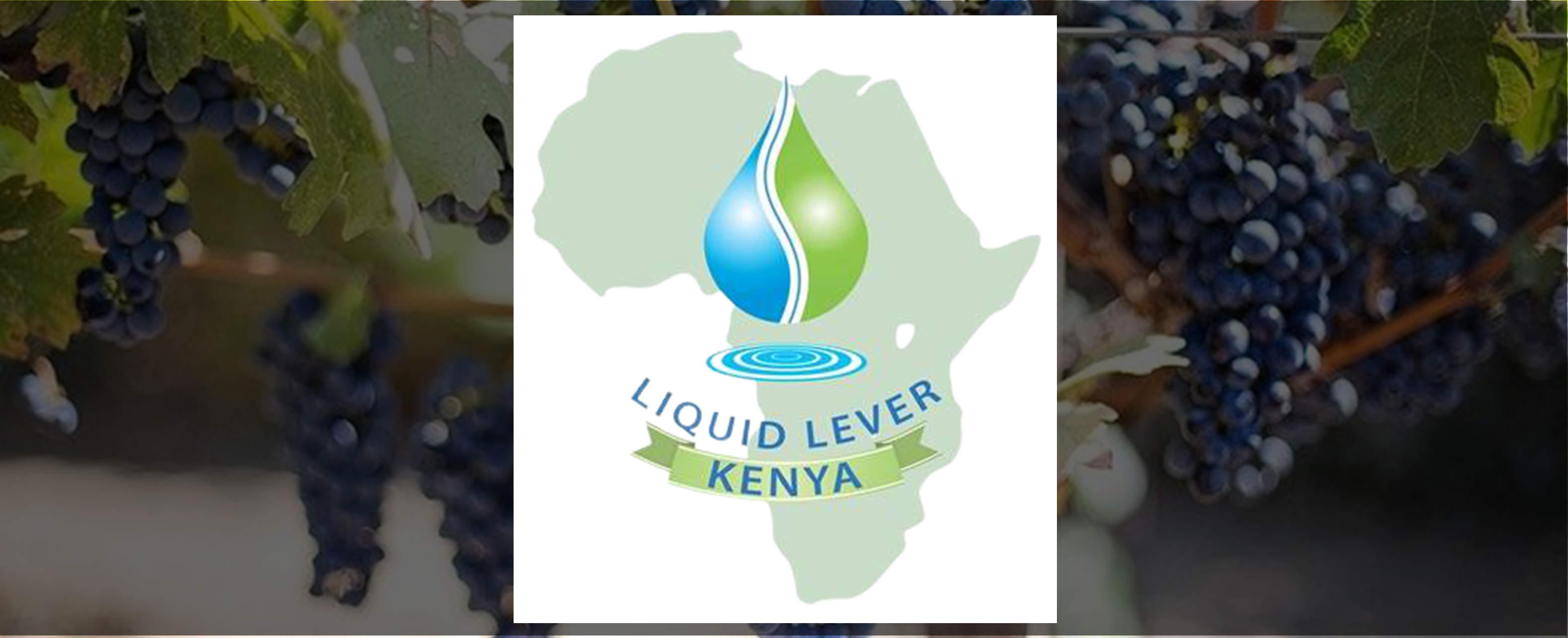 Irriwise Solutions Partner